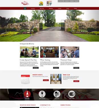 Website Design