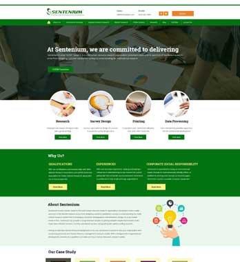 Website Design