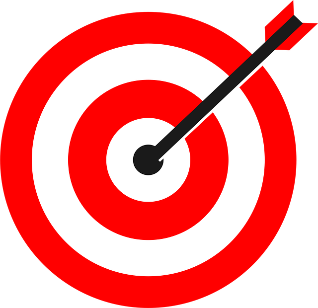 Bulls-Eye The Intelligent Marketing System